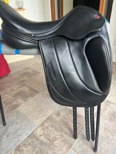 Albion fabrento dressage for sale  TOTNES