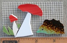Small hedgehog red for sale Small hedgehog red for sale  Sherman Oaks