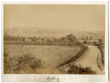 England dorking vintage d'occasion  Pagny-sur-Moselle