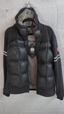 Canada goose hybridge for sale  Bayside