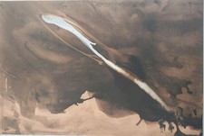 Lithographie raymond moretti d'occasion  Mezzavia