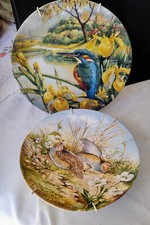 Bird plates kingfisher for sale  BLACKPOOL