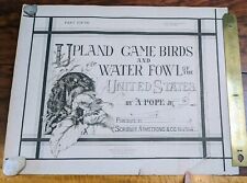 Alexander Pope Jr. Upland Game Birds And Water Fowl Of The United States Unbound segunda mano  Embacar hacia Mexico