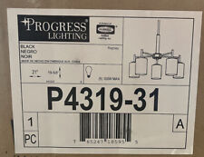 Progress lighting p4319 for sale  Climax