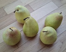 Birnen grün gelb gebraucht kaufen  Plochingen
