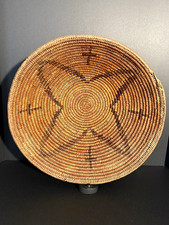 Magnificent jicariila apache for sale  USA