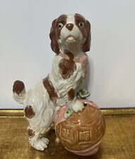 cavalier king charle d'occasion cavalier king charle d'occasion Expédié en Belgium