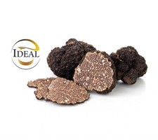 100g tartufo uncinato usato  Acquasanta Terme