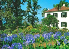CPSM JARDIM BOTANICO MADEIRA comprar usado  Enviando para Brazil