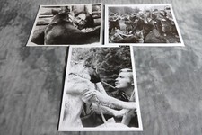 Lucio fulci croc d'occasion  France