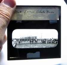 Chester racecourse horse for sale  ROSSENDALE
