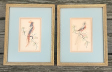 Vtg mexican feather for sale  Carmichaels