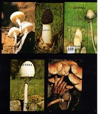 SU GUYANA - MNH - NATUREZA - COGUMELOS - 1990 comprar usado  Enviando para Brazil
