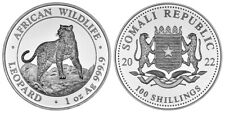 Somalia 100 shillings gebraucht kaufen  Nürnberg