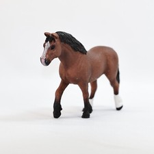 welsh pony mare for sale welsh pony mare for sale Dixon
