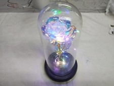 Forever eternal galaxy for sale  Goshen
