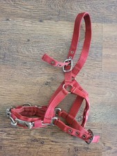 Lunging cavesson red for sale  OAKHAM