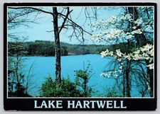Postcard lake hartwell for sale  Norman