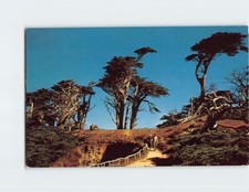 Postcard sylvan footpath for sale  Almond