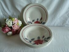 Assiettes creuses moulin d'occasion  Lille-