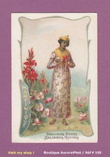 Chromo fleurs martinique d'occasion  Chaumont