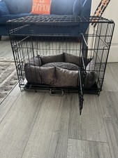 Furdreams inch dog for sale Furdreams inch dog for sale  MIDDLESBROUGH