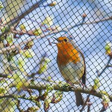 Vogelschutznetz teichnetz bstb gebraucht kaufen  Küstrin-Kietz