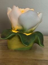 Magnolia flower bloom for sale  Fowlerville
