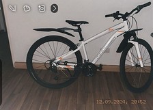 Cityrad zoll fahrrad gebraucht kaufen  Ludwigshafen am Rhein