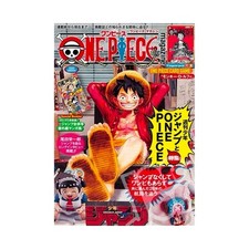 One piece magazine usato  Alpignano