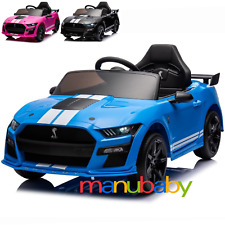 Ford shelby mustang usato  Contursi Terme