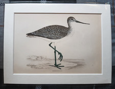 Antique print hand for sale  INVERNESS