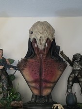 Predator feral life for sale  BURY
