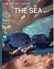 Sea for sale  Odessa