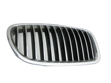 Kühlergrill frontgrill niere gebraucht kaufen  Linkenheim-Hochstetten
