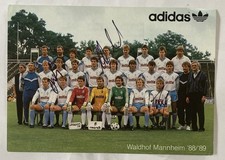 waldhof mannheim gebraucht kaufen  Braunschweig