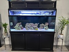 Fish tank sale for sale  Sterling Heights