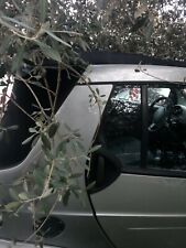 Smart 450 plastiche usato  Santa Maria a Vico