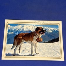 Valle aosta cane usato  Bari