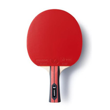 Racchetta ping pong usato  Roccagloriosa
