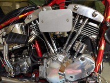 Harley davidson 1967 for sale  Boise