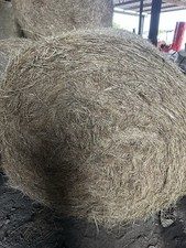 Round bale hay for sale  POULTON-LE-FYLDE