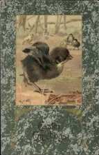 Easter baby chick for sale  USA
