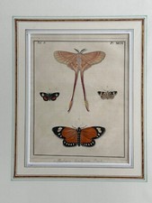 Antique natural history d'occasion  Expédié en Belgium