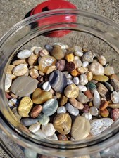 Beach stones agates for sale  Arcata