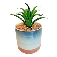 Succulent flower arrangement for sale  Monticello