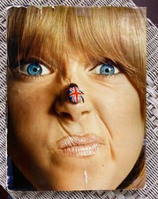 Birds of Britain John D'Green 1967 Photography and Fashion Book. Free Shipping comprar usado  Enviando para Brazil