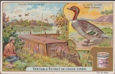 Chromo ancien liebig d'occasion  Dijon