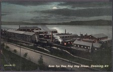 Cartolina birds eye usato  Spedire a Italy