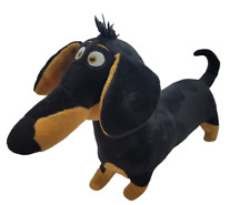Buddy dachshund wiener for sale  FLEETWOOD